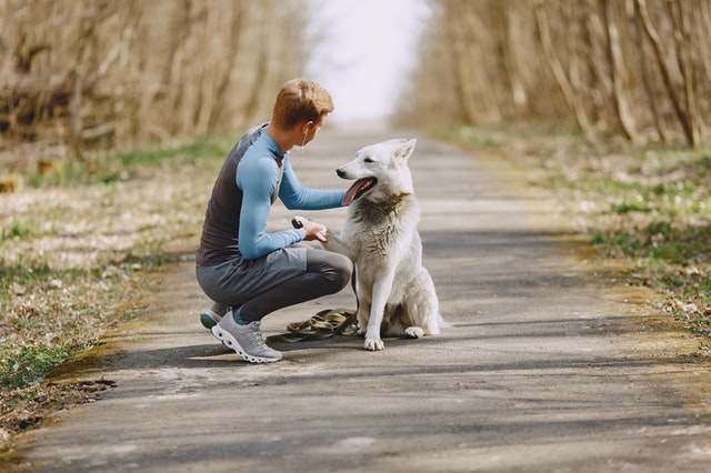 Pet sitter