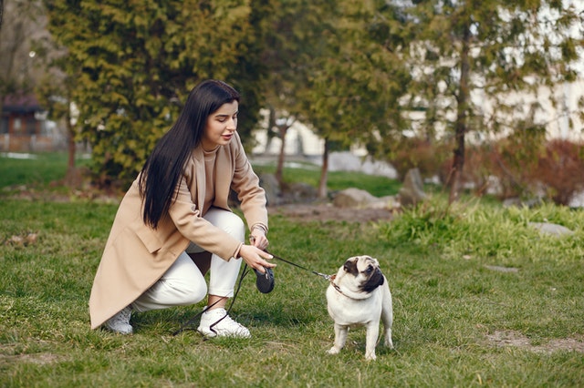 Gagner de l'argent en promenant des chiens